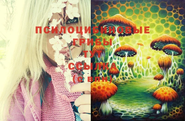 скорость Карталы
