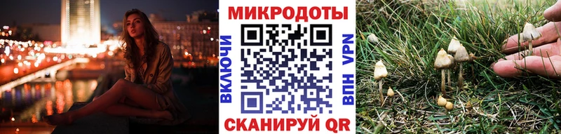 Псилоцибиновые грибы Psilocybine cubensis  shop формула  Москва 