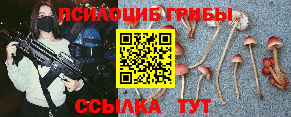 Галлюциногенные грибы Magic Shrooms Москва