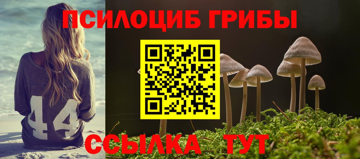 Псилоцибиновые грибы Psilocybe  Вход с VPN  Москва 